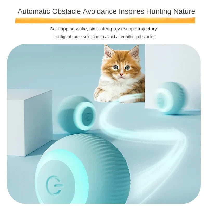 Interactive Rolling Cat Ball