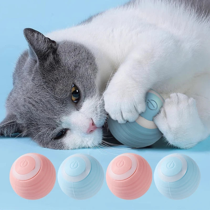 Interactive Rolling Cat Ball